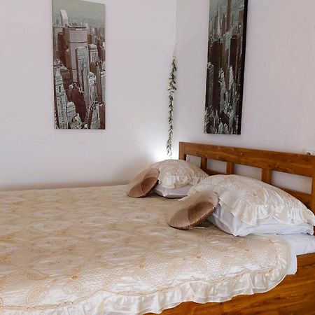 Exkluzivni Apartman V Prizemi V Hradci Kralove Hradec Králové Esterno foto